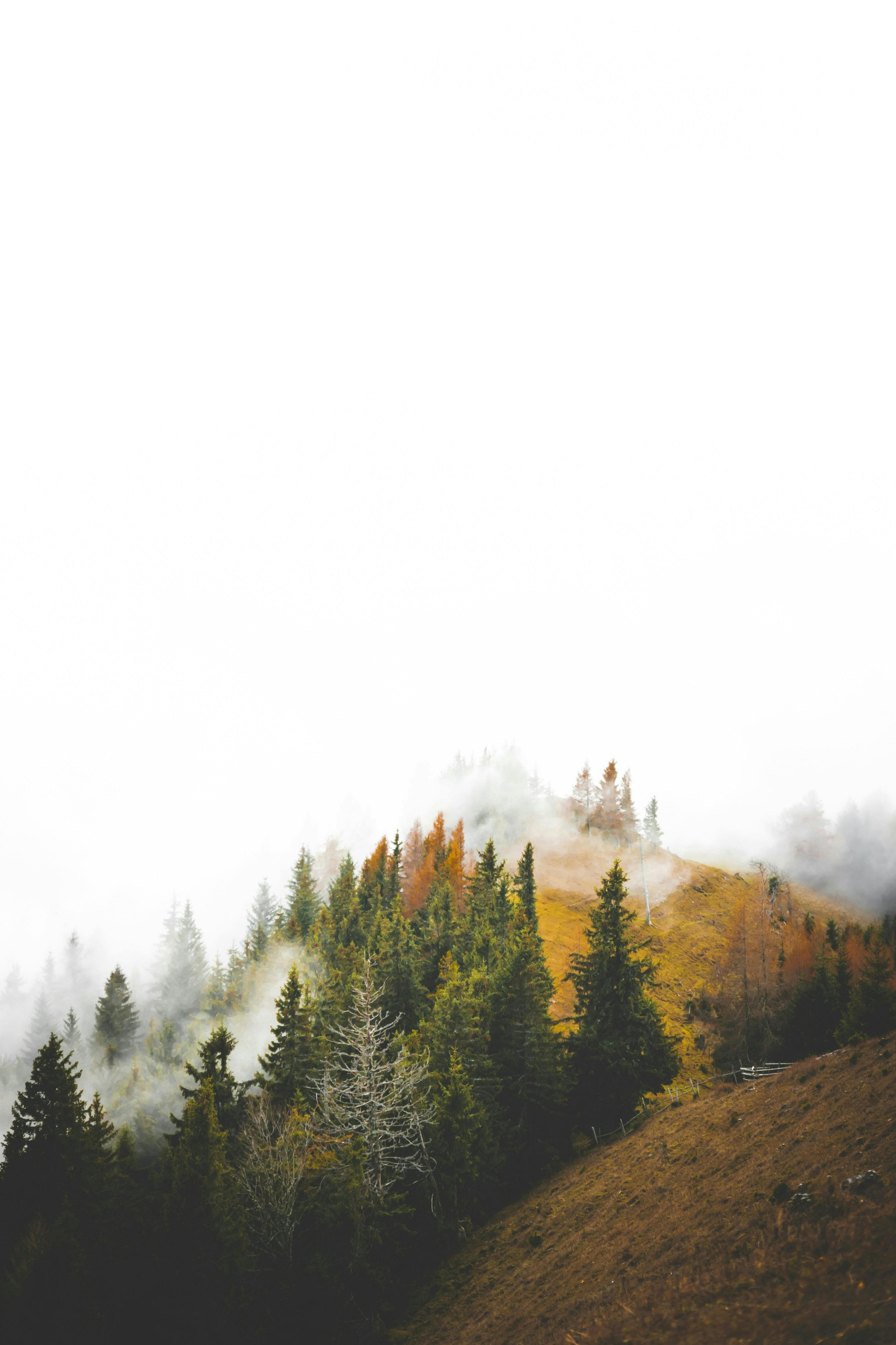 42 ರನ್​ಗಳು... ಪಾಕ್ ವಿರುದ್ಧ 'ಪವರ್'​ಫುಲ್ ದಾಖಲೆ ಬರೆದ · ಸೋತು ಸೋತು ಭಾರತದ ಪಾಲಿಗೆ ವಿಶ್ವ ದಾಖಲೆಯಾದ ಪಾಕಿಸ್ತಾನ್ · ಪಾಕೆಟ್ ಡೈನಮೋ ಕಿಶನ್ ಸ್ಫೋಟಕ್ಕೆ ದಾಖಲೆಗಳು ಧ್ವಂಸ ·